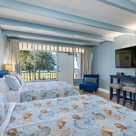 Come Stay Where The Dolphins Play!
